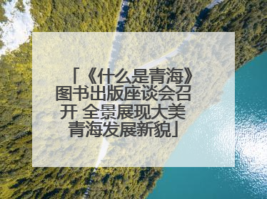 《什么是青海》图书出版座谈会召开 全景展现大美青海发展新貌