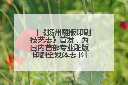 《扬州雕版印刷技艺志》首发，为国内首部专业雕版印刷全媒体志书