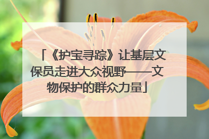 《护宝寻踪》让基层文保员走进大众视野——文物保护的群众力量