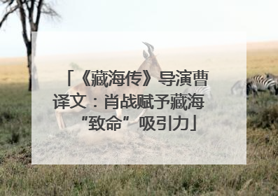 《藏海传》导演曹译文：肖战赋予藏海“致命”吸引力