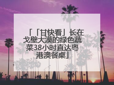 「甘快看」长在戈壁大漠的绿色蔬菜38小时直达粤港澳餐桌