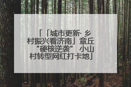 「城市更新· 乡村振兴看济南」章丘“硬核逆袭” 小山村转型网红打卡地