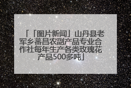 「图片新闻」山丹县老军乡蕃昌农副产品专业合作社每年生产各类玫瑰花产品500多吨