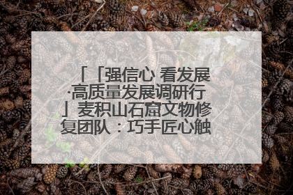 「强信心 看发展·高质量发展调研行」麦积山石窟文物修复团队：巧手匠心触摸“光阴的故事”