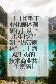 「新型工业化媒体调研行」从“北斗七星”到“热带雨林”：上海AI生态的技术商业共生密码