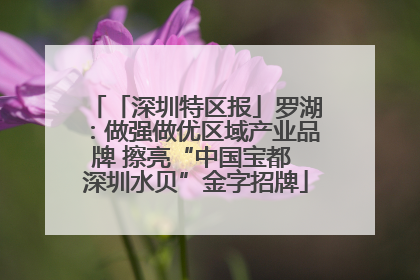 「深圳特区报」罗湖：做强做优区域产业品牌 擦亮“中国宝都 深圳水贝”金字招牌