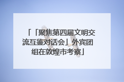 「聚焦第四届文明交流互鉴对话会」外宾团组在敦煌市考察