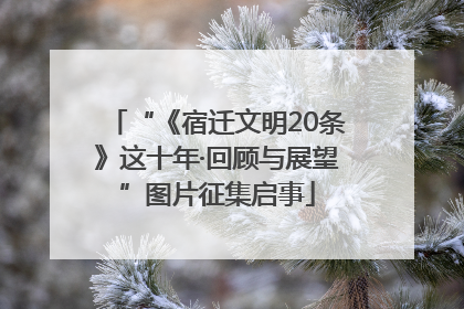 “《宿迁文明20条》这十年·回顾与展望”图片征集启事