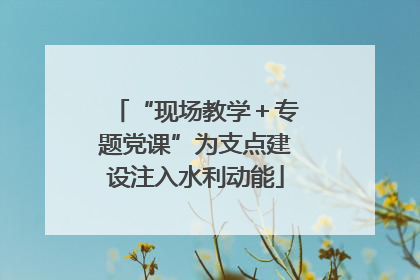 “现场教学＋专题党课”为支点建设注入水利动能
