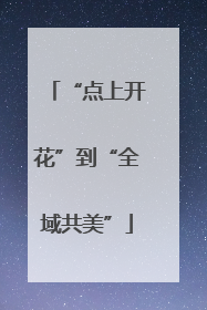“点上开花”到“全域共美”
