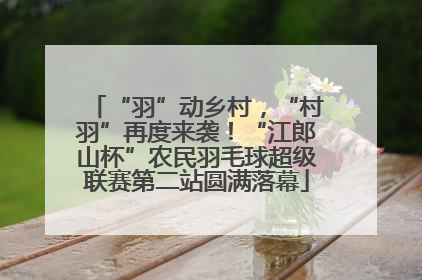 “羽”动乡村，“村羽”再度来袭！“江郎山杯”农民羽毛球超级联赛第二站圆满落幕