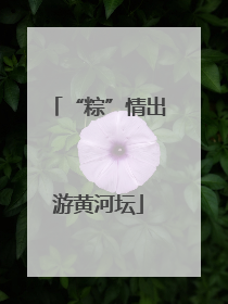 “粽”情出游黄河坛