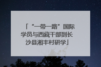 “一带一路”国际学员与西藏干部到长沙县湘丰村研学