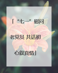 “七一”慰问老党员 共话初心叙真情
