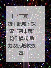 “三夏”一线丨肥城：探索“菌果蔬”轮作模式 助力农民增收致富