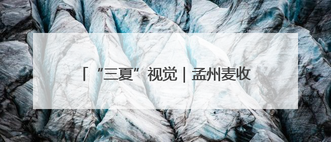 “三夏”视觉｜孟州麦收正当时 机械减损保归仓