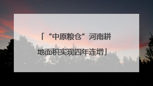 “中原粮仓”河南耕地面积实现四年连增