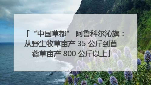 “中国草都” 阿鲁科尔沁旗：从野生牧草亩产 35 公斤到苜蓿草亩产 800 公斤以上