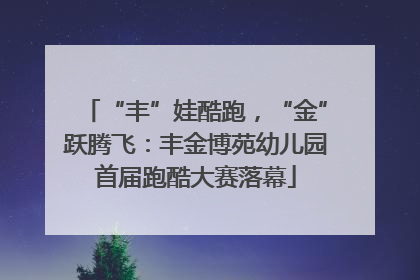 “丰”娃酷跑，“金”跃腾飞：丰金博苑幼儿园首届跑酷大赛落幕