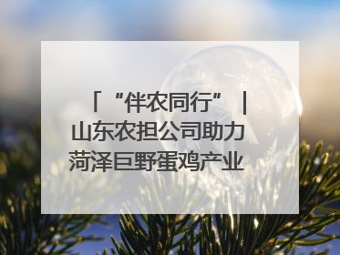 “伴农同行”｜山东农担公司助力菏泽巨野蛋鸡产业高质量发展