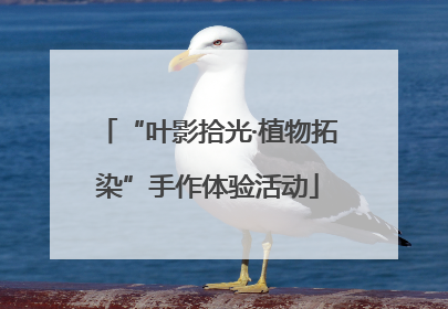 “叶影拾光·植物拓染”手作体验活动