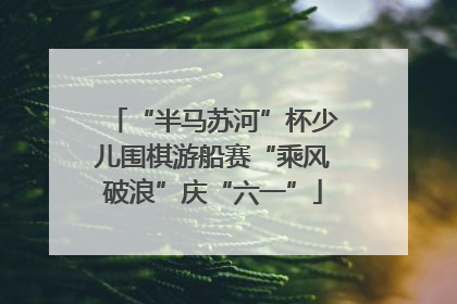 “半马苏河”杯少儿围棋游船赛“乘风破浪”庆“六一”