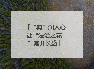 “典”润人心 让“法治之花”常开长盛