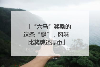 “六马”奖励的这条“腿”，风味比奖牌还厚重