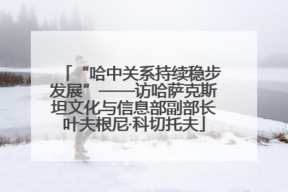 “哈中关系持续稳步发展”——访哈萨克斯坦文化与信息部副部长叶夫根尼·科切托夫