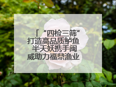 “四检三筛”打造高品质鲈鱼 半天妖携手闽威助力福鼎渔业实现产业升级