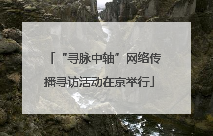 “寻脉中轴”网络传播寻访活动在京举行