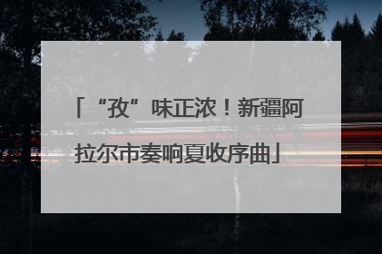 “孜”味正浓！新疆阿拉尔市奏响夏收序曲