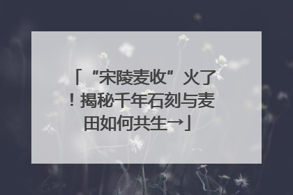 “宋陵麦收”火了！揭秘千年石刻与麦田如何共生→