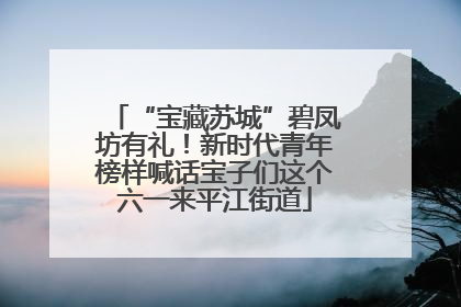 “宝藏苏城”碧凤坊有礼！新时代青年榜样喊话宝子们这个六一来平江街道
