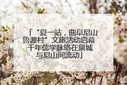 “夏一站，曲阜尼山鲁源村”文旅活动启幕 千年儒学脉络在泉城与尼山间流动