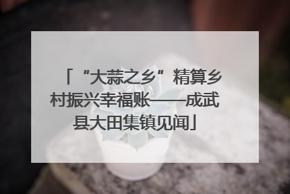 “大蒜之乡”精算乡村振兴幸福账——成武县大田集镇见闻
