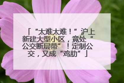 “太难太难！”沪上新建大型小区，竟处“公交断层带”！定制公交，又成“鸡肋”