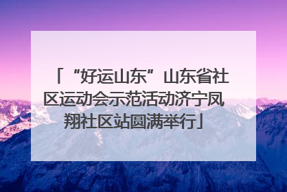 “好运山东”山东省社区运动会示范活动济宁凤翔社区站圆满举行