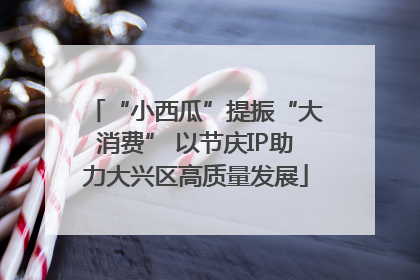 “小西瓜”提振“大消费” 以节庆IP助力大兴区高质量发展