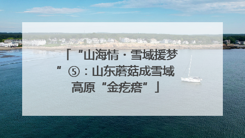 “山海情・雪域援梦”⑤：山东蘑菇成雪域高原“金疙瘩”