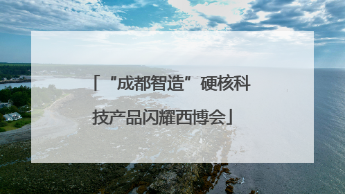“成都智造”硬核科技产品闪耀西博会