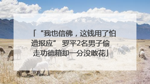 “我也信佛，这钱用了怕遭报应” 罗平2名男子偷走功德箱却一分没敢花