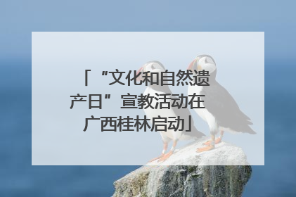 “文化和自然遗产日”宣教活动在广西桂林启动