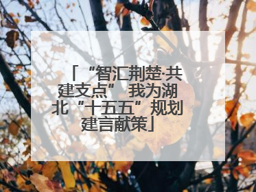 “智汇荆楚·共建支点” 我为湖北“十五五”规划建言献策