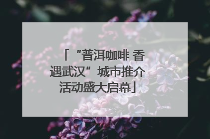 “普洱咖啡 香遇武汉”城市推介活动盛大启幕