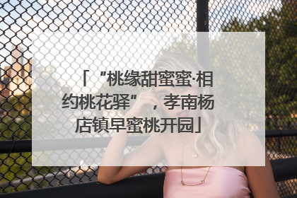 “桃缘甜蜜蜜·相约桃花驿”，孝南杨店镇早蜜桃开园