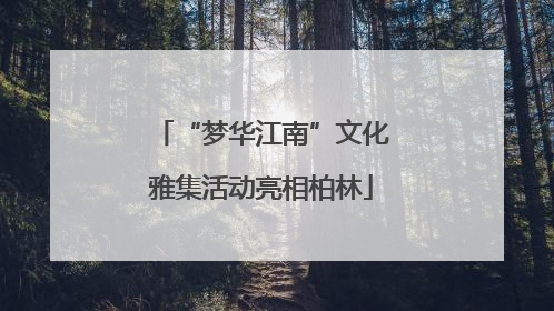 “梦华江南”文化雅集活动亮相柏林