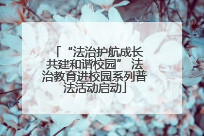 “法治护航成长 共建和谐校园” 法治教育进校园系列普法活动启动