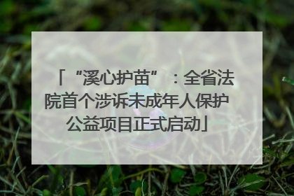 “溪心护苗”：全省法院首个涉诉未成年人保护公益项目正式启动