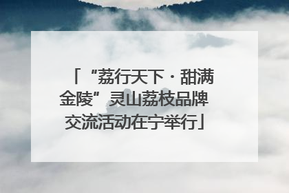 “荔行天下・甜满金陵”灵山荔枝品牌交流活动在宁举行
